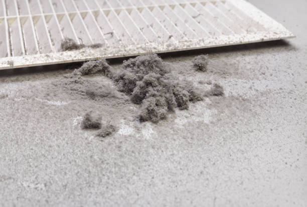 Best Commercial HVAC Duct Cleaning  in White Rock, NM